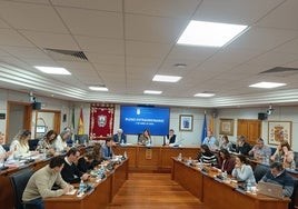 Pleno extraordinario en el Ayuntamiento de Benalmádena.