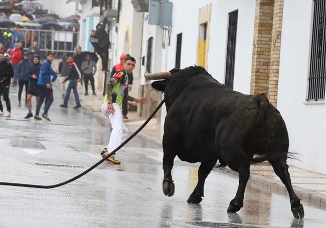Momento del pasado año con lluvia.