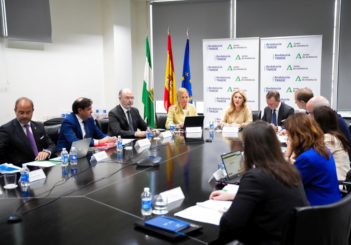 Un momento de la reunión del Consejo Rector de TRADE.