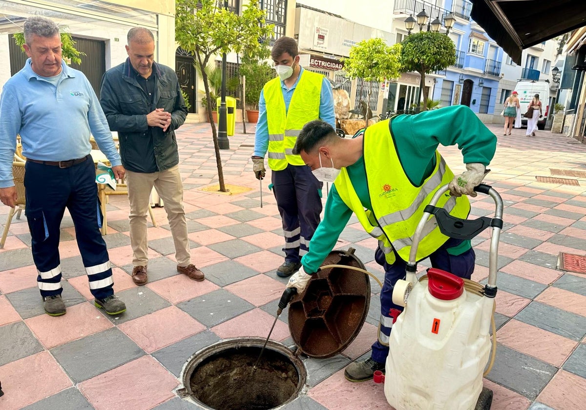 Fuengirola comienza ya la batalla contra los insectos para atenuar uno de los grandes problemas del verano