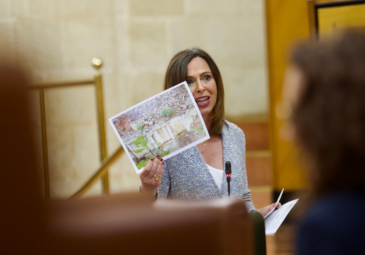 Rocío Díaz, este jueves, en una comparecencia en el Parlamento andaluz.