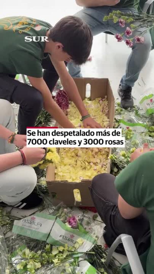 Así se prepara la petalada a la Virgen de Estudiantes