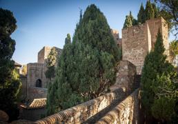 La Junta aprueba mejoras urgentes en espacios emblemáticos de la Alcazaba por 330.000 euros