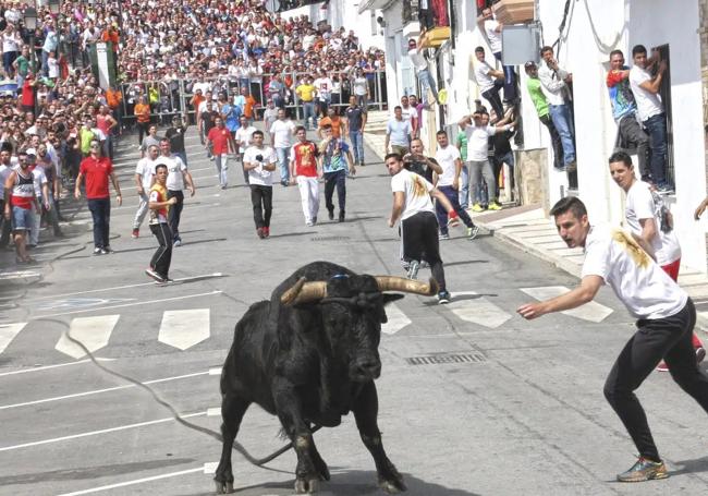 El Toro de Cuerda es una tradición pagana que se celebra desde hace décadas.