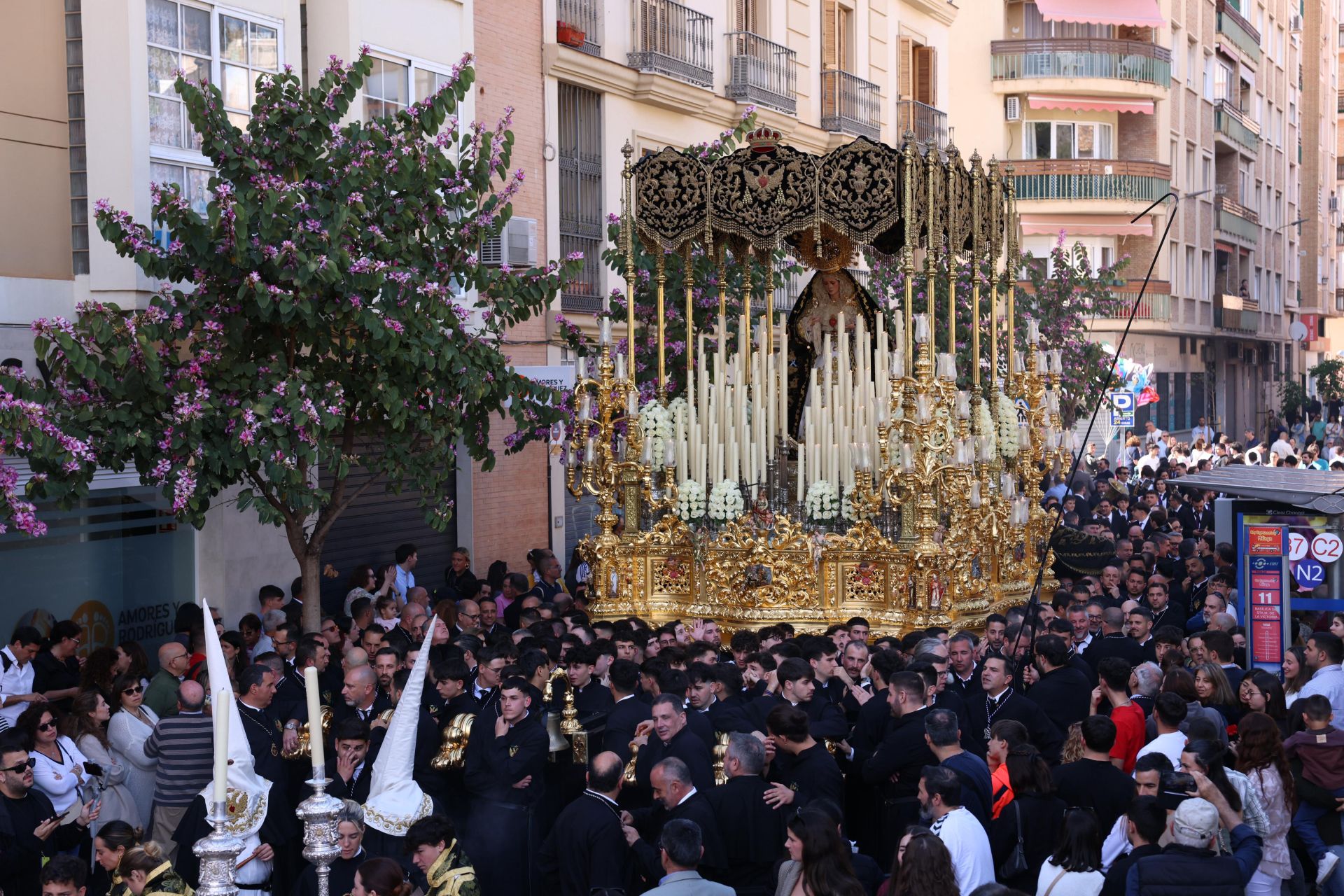 Cofradía del Santísimo Cristo del Amor y Nuestra Señora de la Caridad