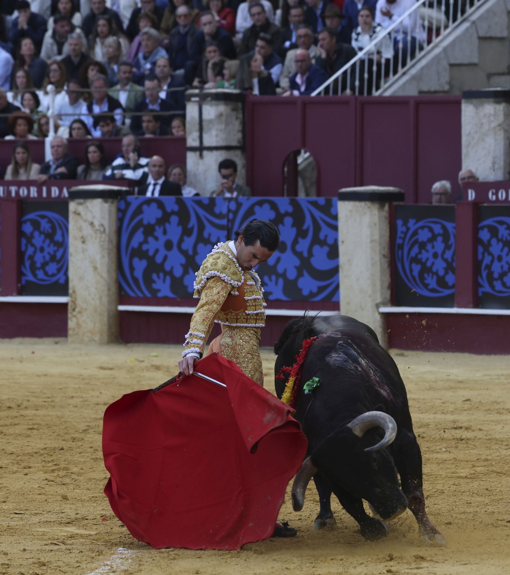 Las mejores fotos de la Corrida Picassiana 2025 en Málaga