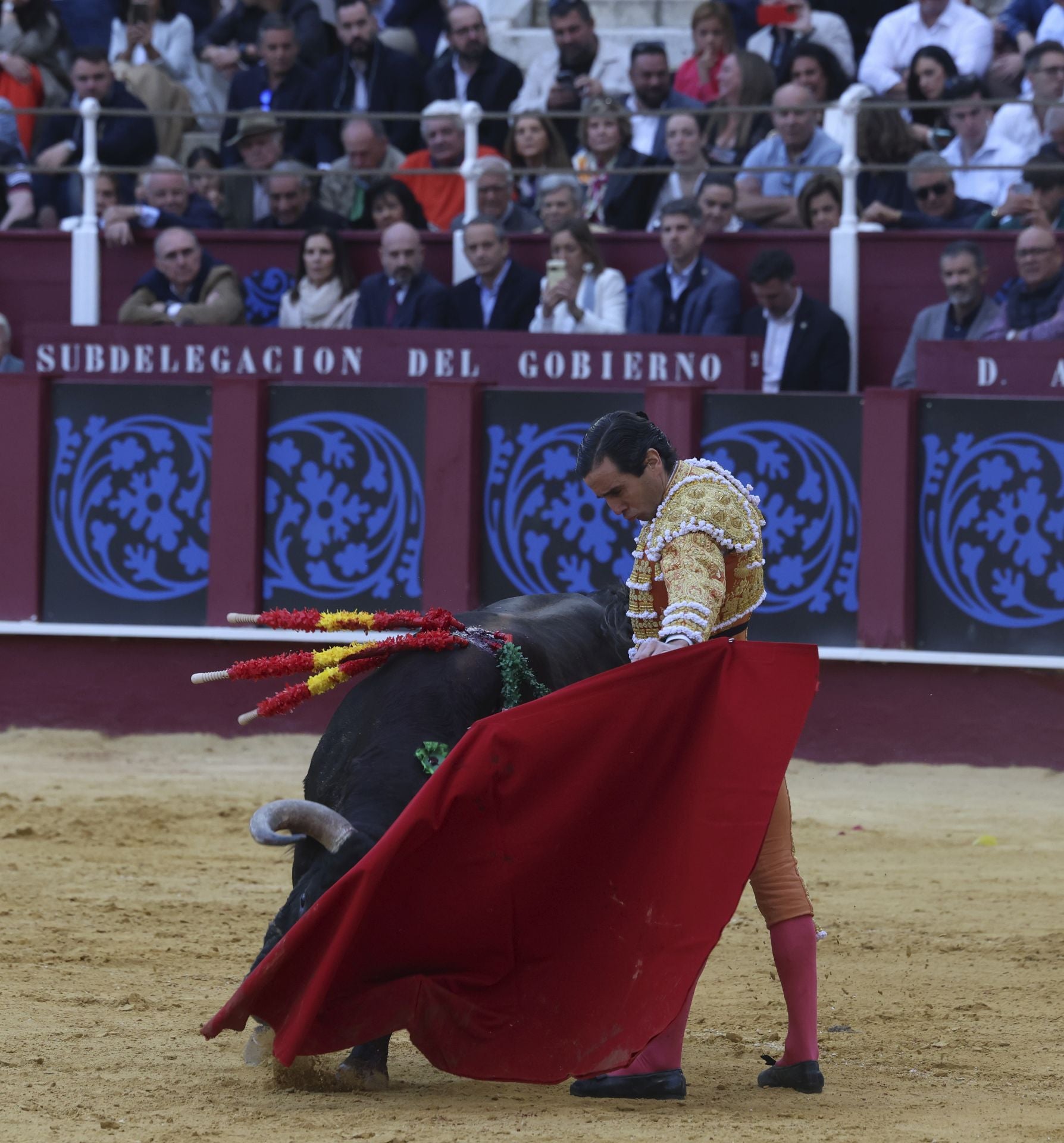 Las mejores fotos de la Corrida Picassiana 2025 en Málaga