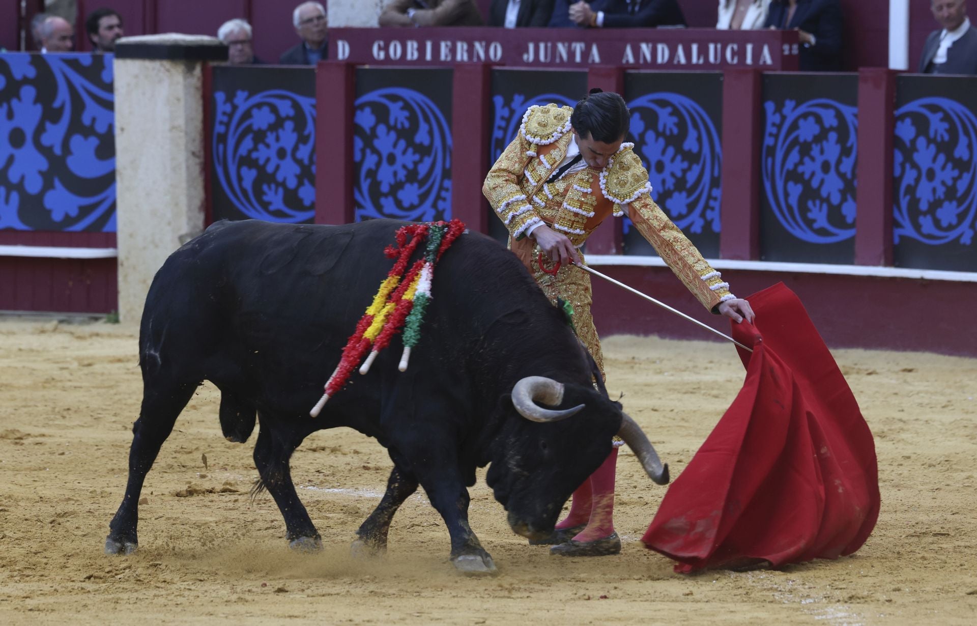 Las mejores fotos de la Corrida Picassiana 2025 en Málaga
