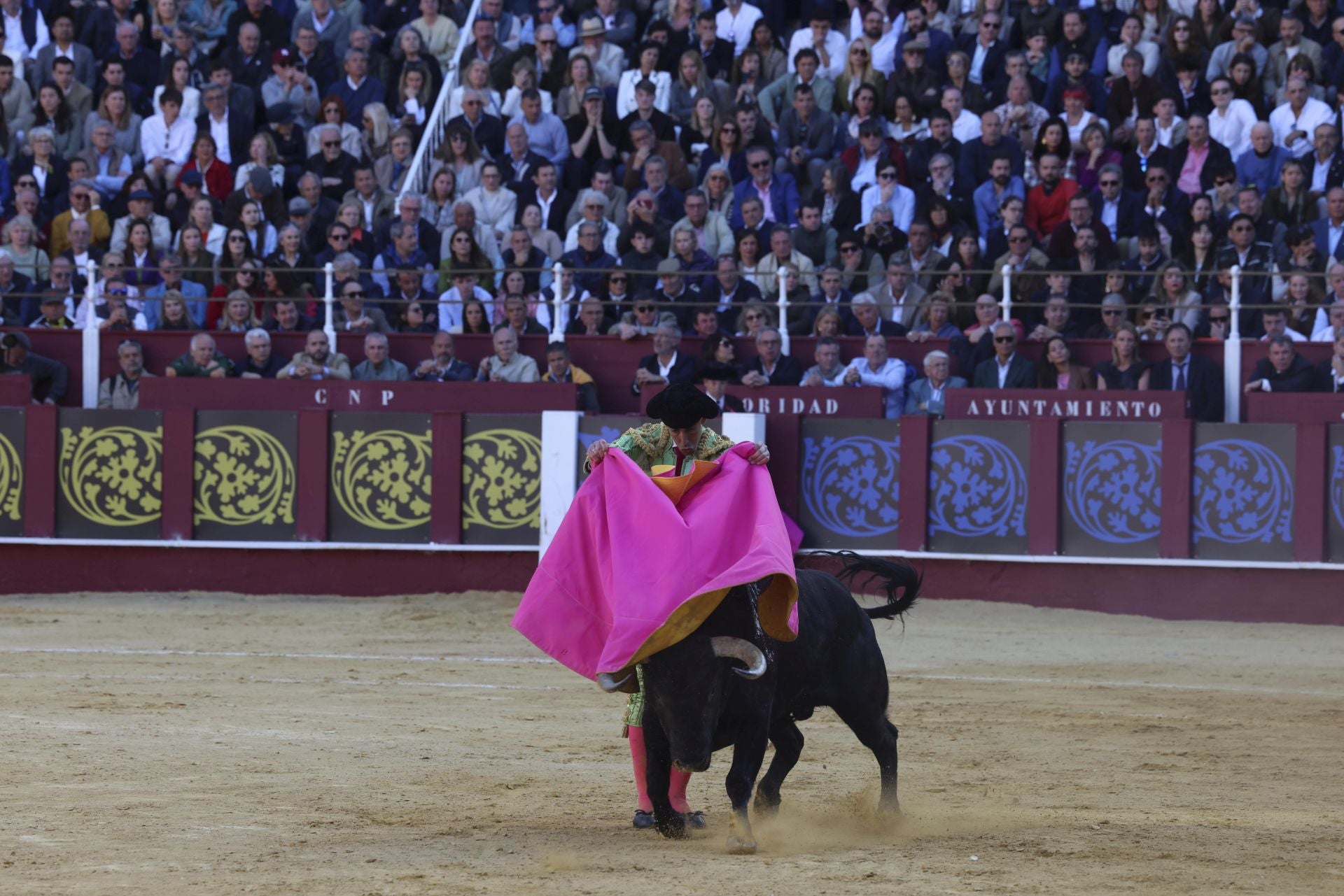 Las mejores fotos de la Corrida Picassiana 2025 en Málaga