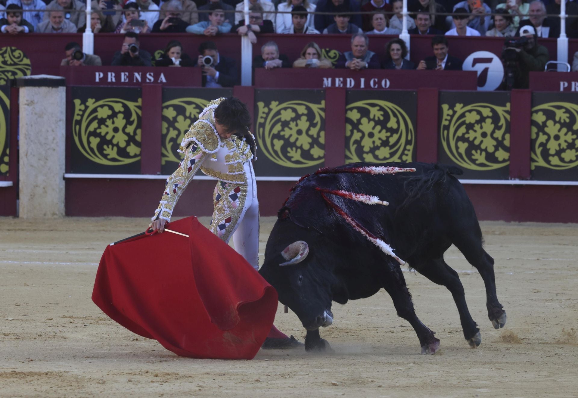 Las mejores fotos de la Corrida Picassiana 2025 en Málaga