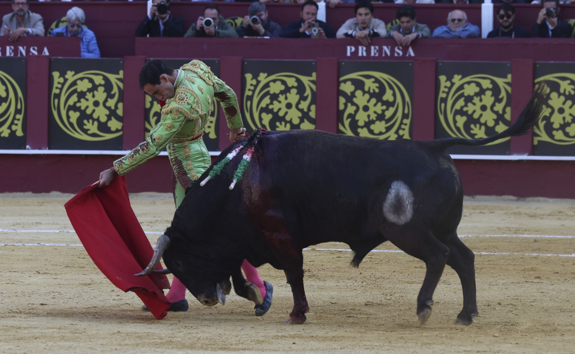 Las mejores fotos de la Corrida Picassiana 2025 en Málaga