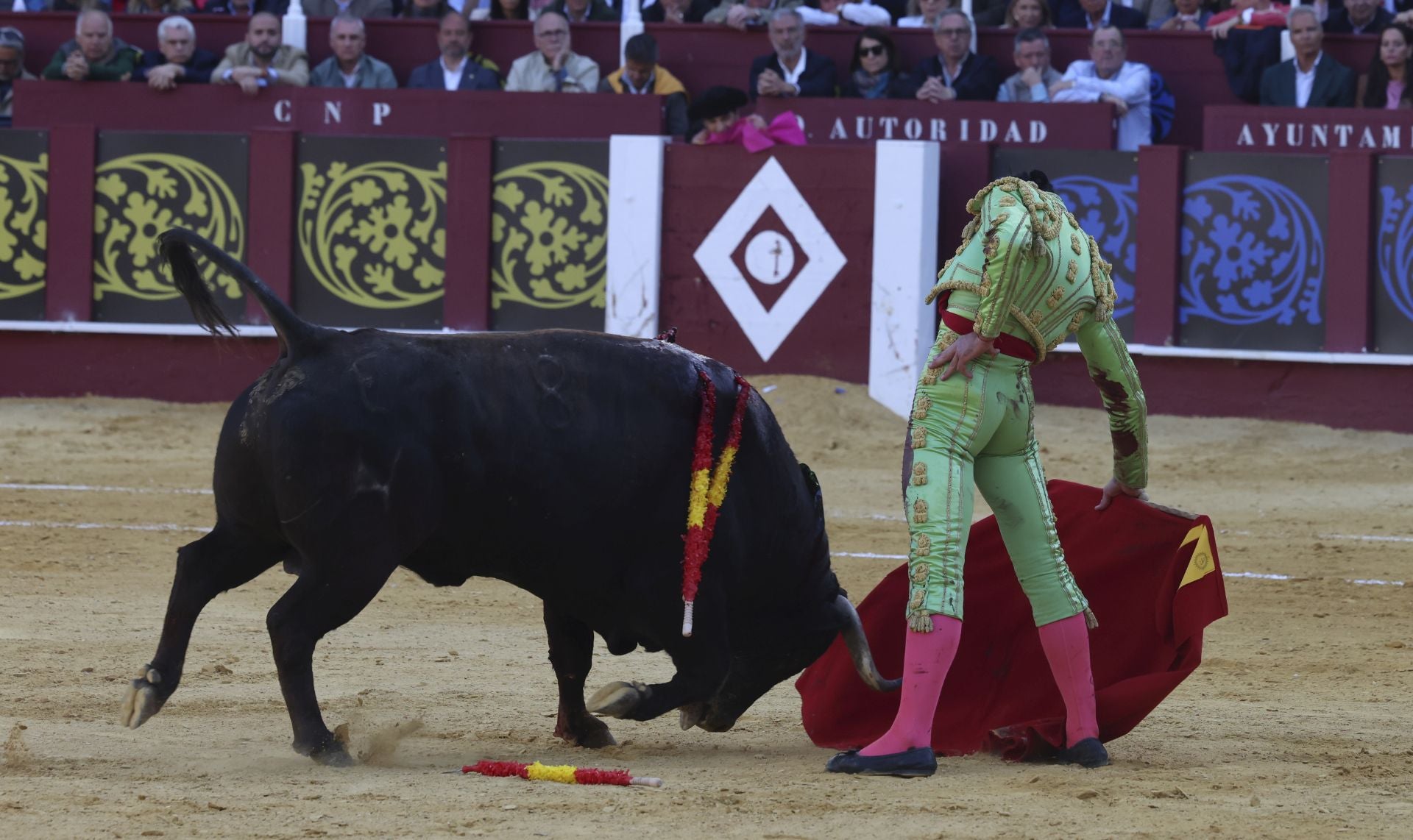 Las mejores fotos de la Corrida Picassiana 2025 en Málaga
