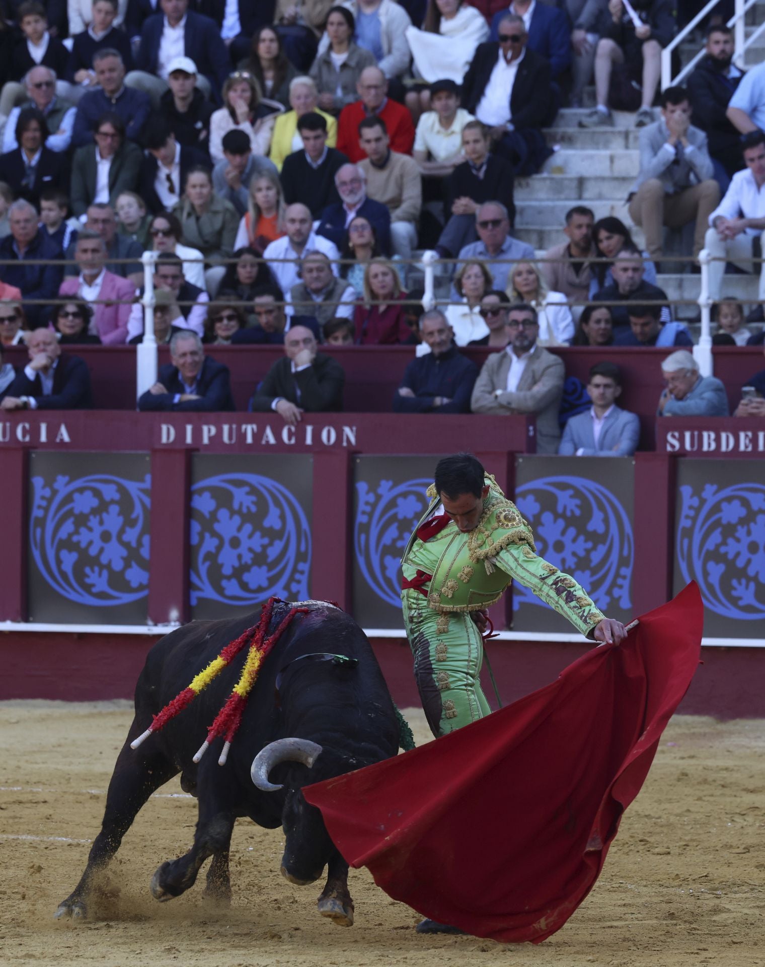 Las mejores fotos de la Corrida Picassiana 2025 en Málaga