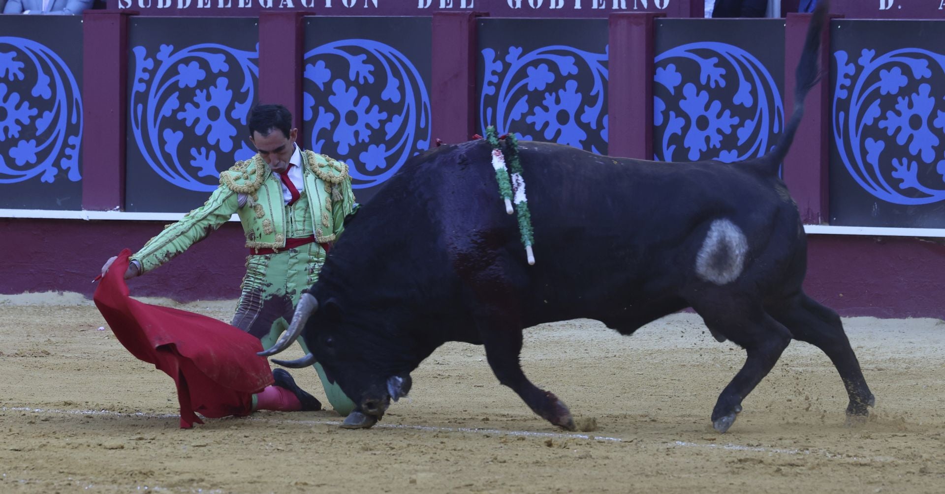 Las mejores fotos de la Corrida Picassiana 2025 en Málaga