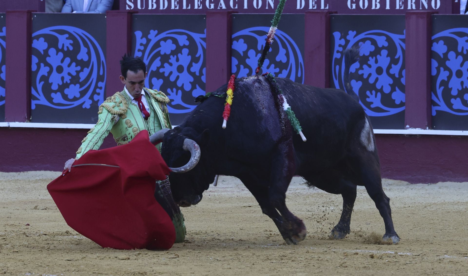 Las mejores fotos de la Corrida Picassiana 2025 en Málaga