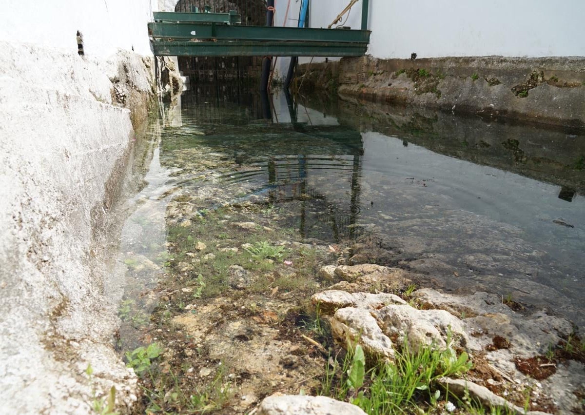 Imagen secundaria 1 - El río Nacimiento de Coín vuelve a brotar con fuerza más de una década después