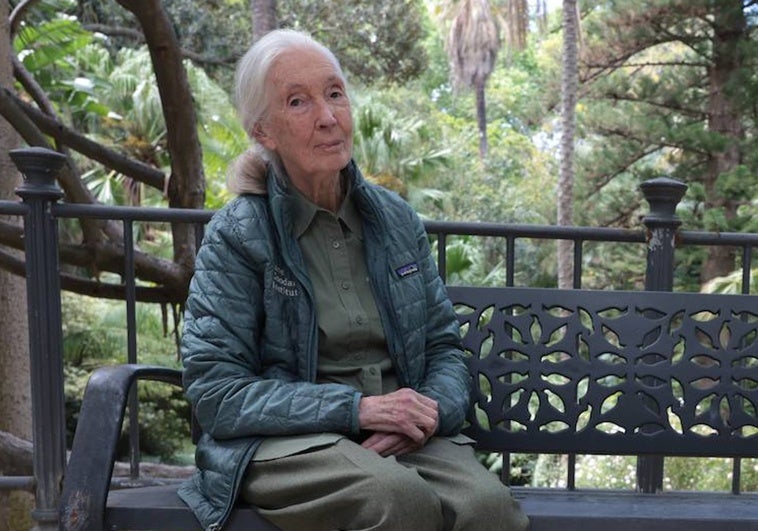 Jane Goodall, en un banco del Jardín Botánico de La Concepción, durante el encuentro con SUR.