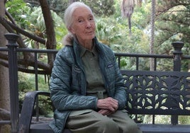 Jane Goodall, en un banco del Jardín Botánico de La Concepción, durante el encuentro con SUR.