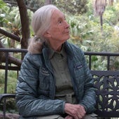 Jane Goodall, en un banco del Jardín Botánico de La Concepción, durante el encuentro con SUR.