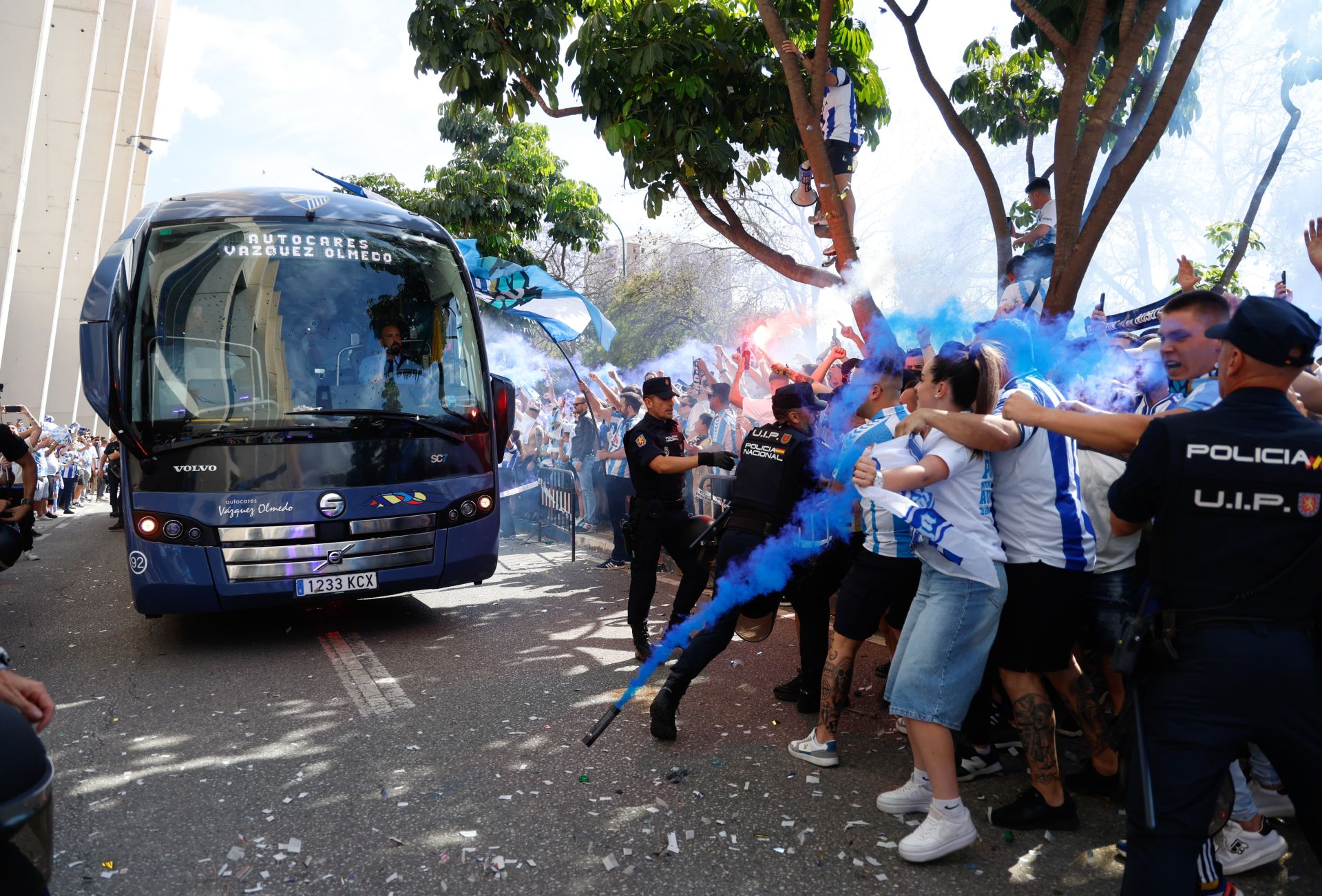 El Málaga-Granada en La Rosaleda, en imágenes