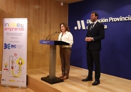Acto de presentación de la iniciativa en la Diputación.