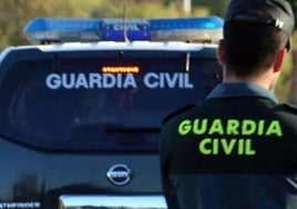 Dos detenidos y un almacén cerrado en Casarabonela por compraventa de aceituna y algarroba