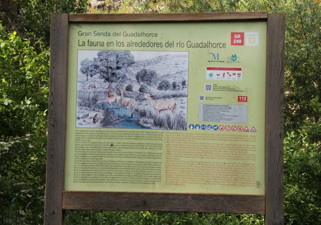 Este recorrido tiene un tramo idóneo para la observación de la fauna
