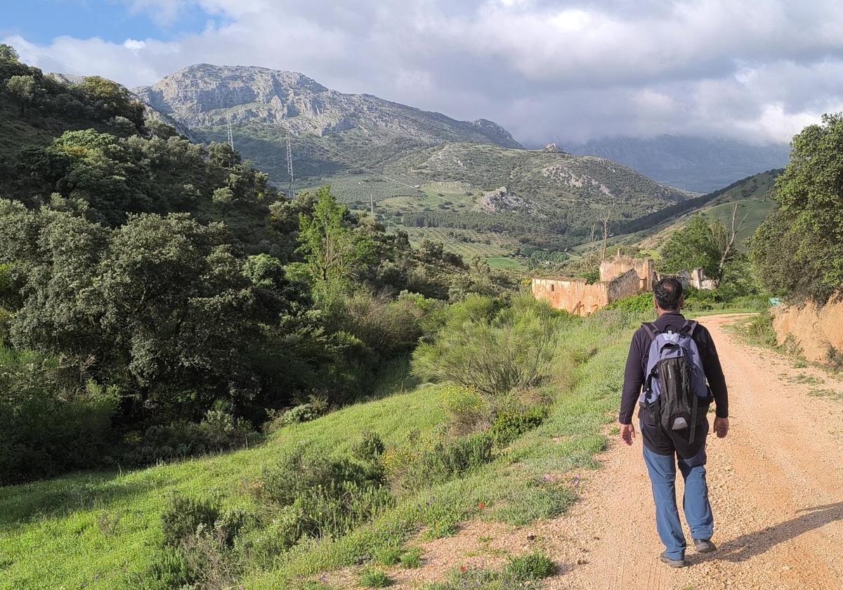 Sendero de la Tosquilla: El camino que lleva a unas antiguas termas romanas ocultas en un cortijo abandonado