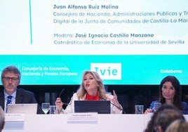 Carolina España, en la mesa redonda