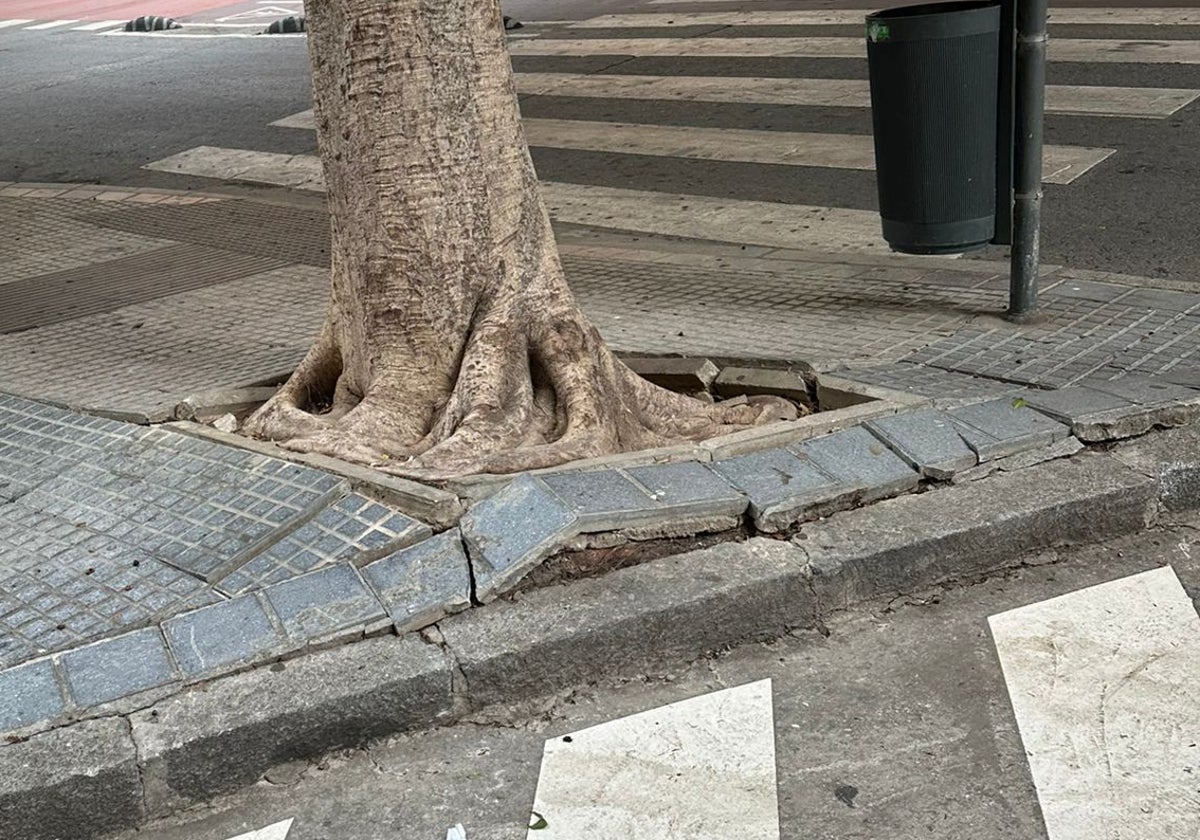 La Malagueta tiene demasiado flecos sin resolver