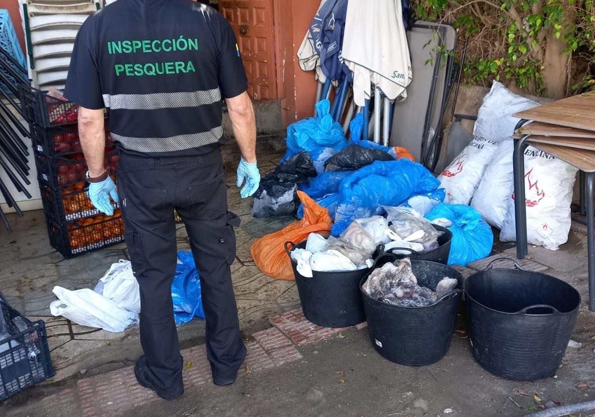 La Junta interviene en Benalmádena más de 450 kilos de pulpo «en condiciones higiénicas deficientes»