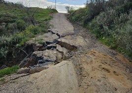 Una de los diez caminos rurales de Villanueva de la Concepción que se van a reparar.