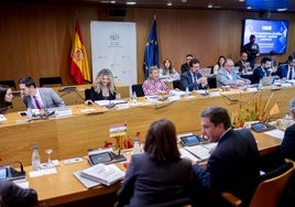 Yolanda Díaz presidió la Coneferencia Sectorial de Empleo el pasado miércoles.