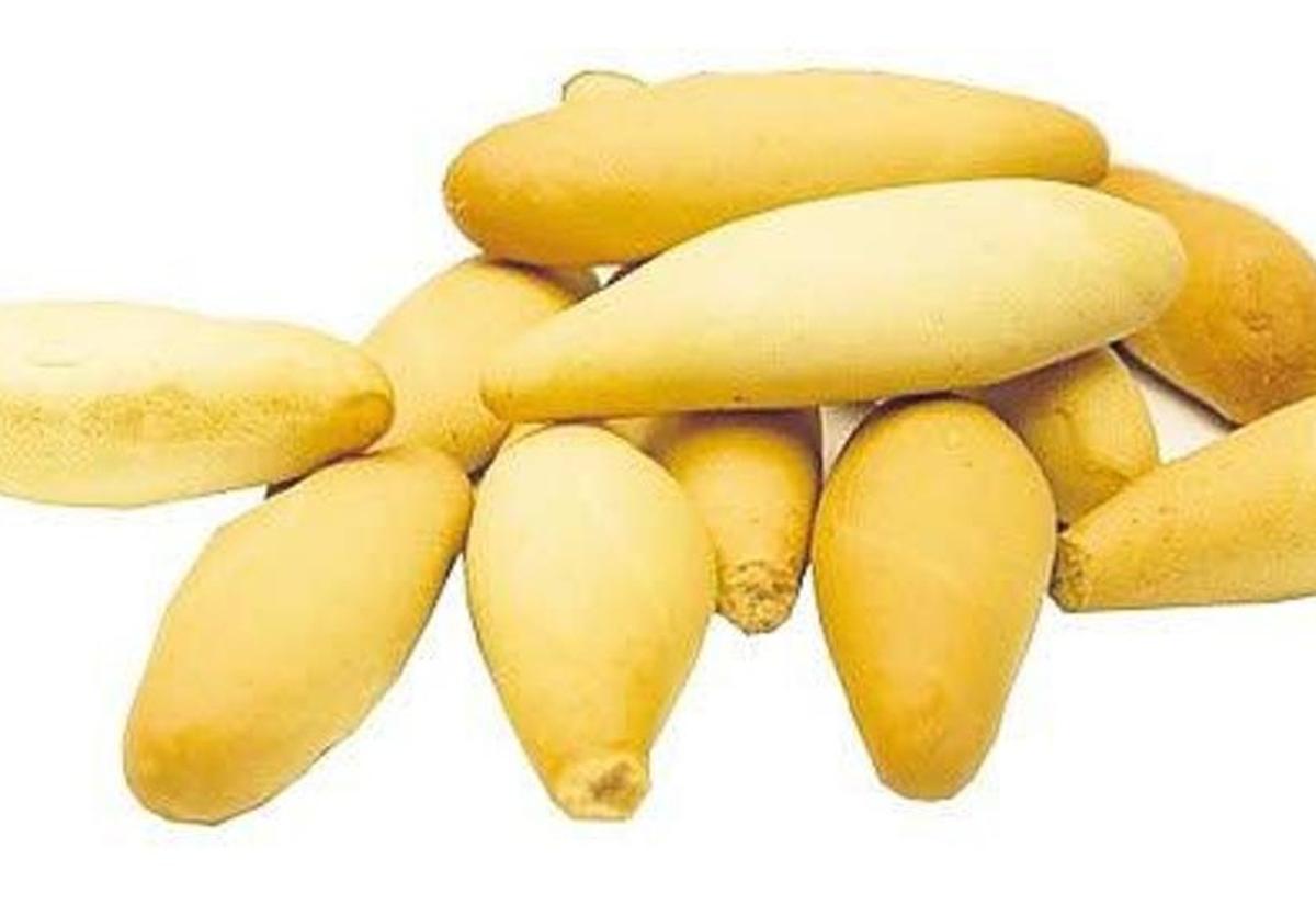 Imagen de archivo de uns piquitos o picos.