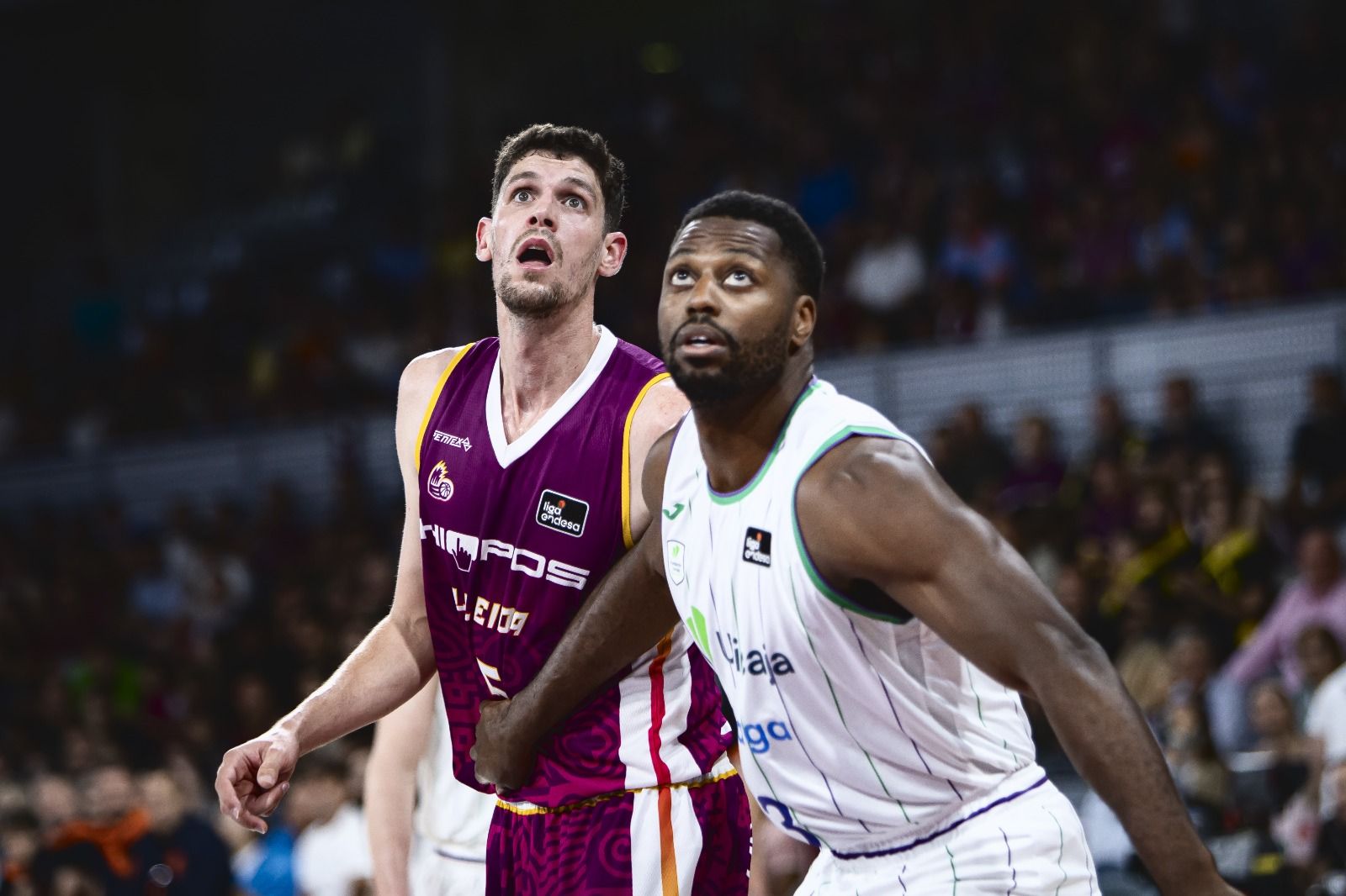 Cómodo triunfo del Unicaja en Lérida