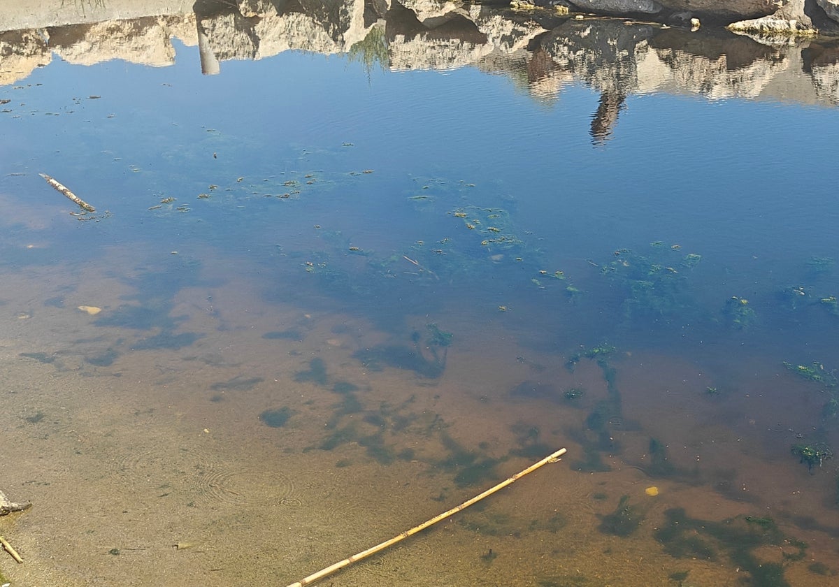 Vista del agua estancada en la zona de los contenedores.