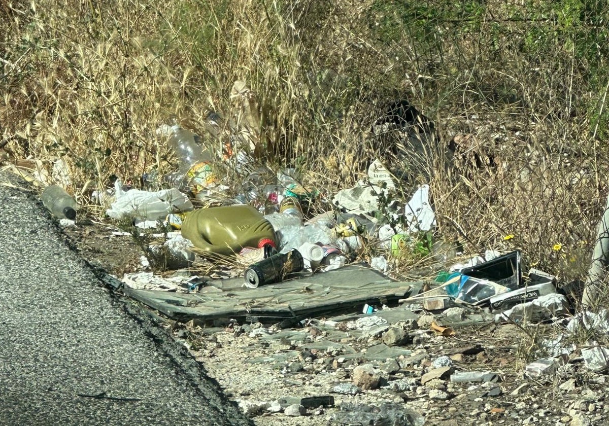 Basura acumulada en la zona denunciada.