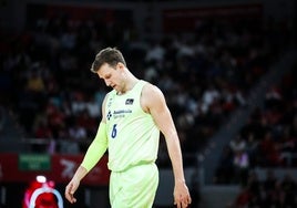Jan Vesely, en un partido de la Liga Endesa esta temporada.