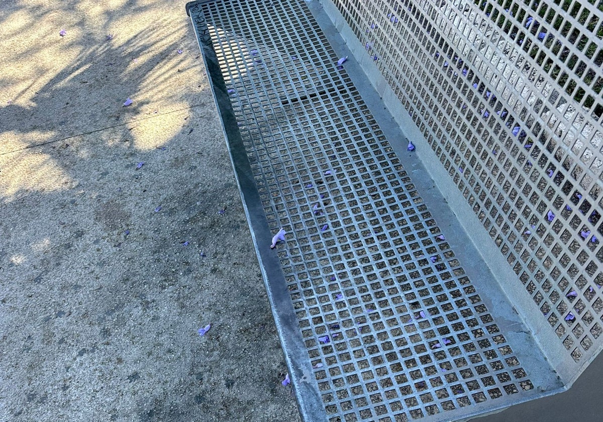 Orina de perro debajo de los bancos.