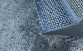 Orina de perro debajo de los bancos.