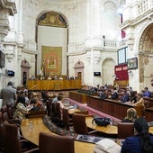 Un momento del pleno celebrado este jueves en el Parlamento.
