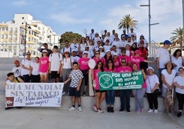 Participantes en la Marcha saludable en el Día Mundial Sin Tabaco 2025 en Estepona.