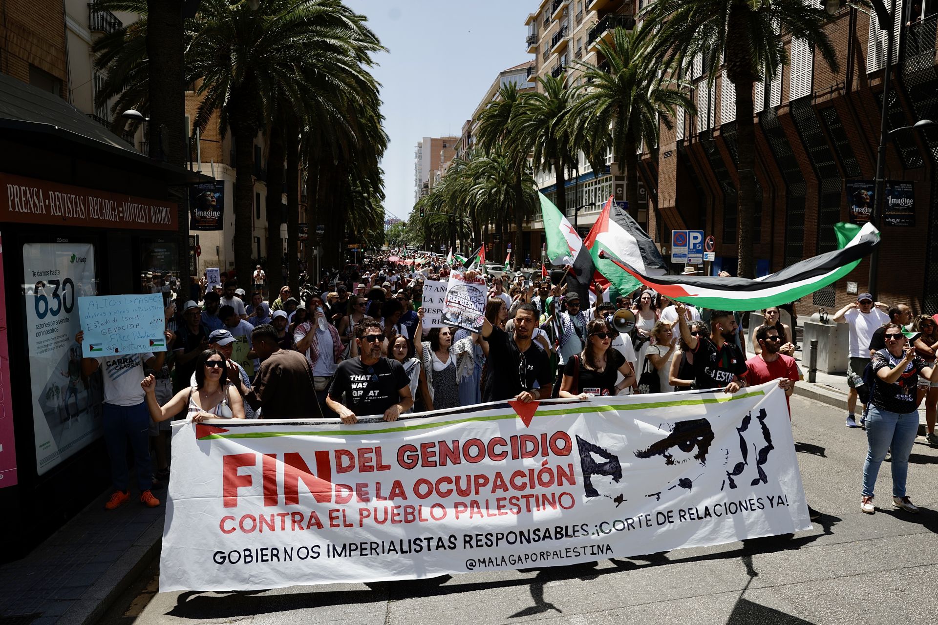 Medio millar de personas se manifiesta en Málaga contra el «genocidio en Palestina»