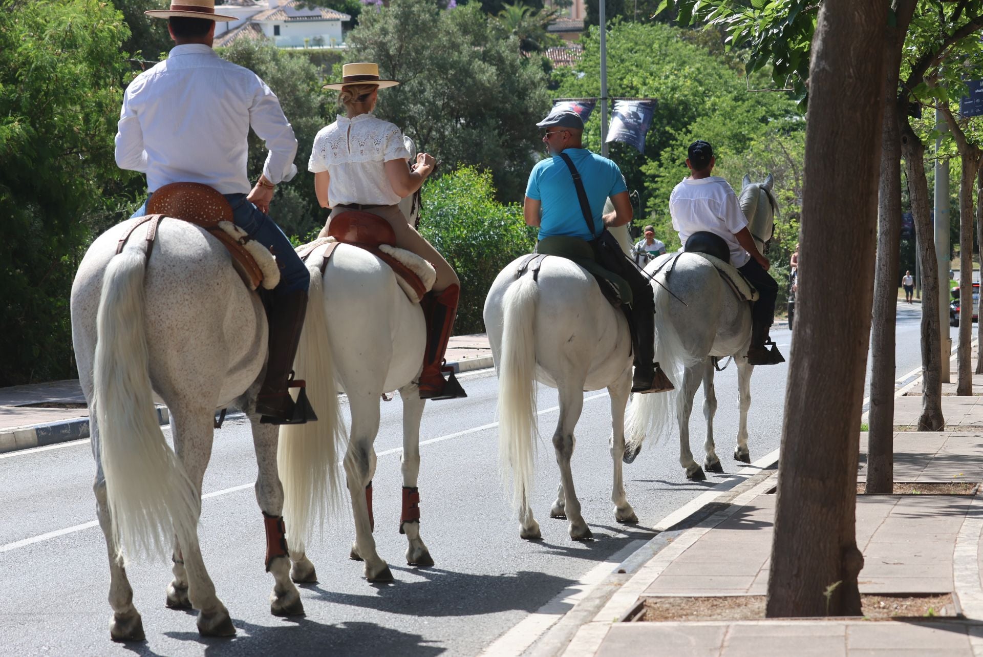 Marbella celebra su romería en honor a San Bernabé