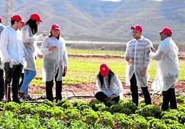 Este programa oficial forma a profesionales capaces de liderar la transformación del agro.