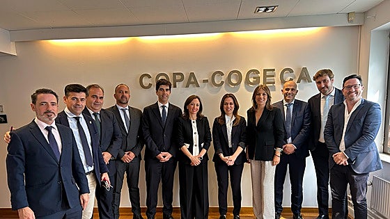 El PP lleva a Bruselas la reivindicaciones de Málaga al Gobierno