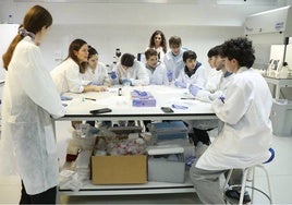 Un grupo de alumnos se acerca a labor investigadora en un laboratorio de la UMA.