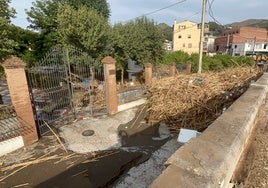 Imagen de archivo de la 'lengua' de cañas que arrastró la riada del pasado noviembre en Benamargosa.