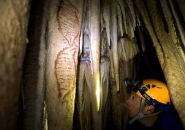 Pinturas paleolíticas de la Cueva de Nerja, que forman parte del conjunto que se presenta a la lista de patrimonio de la Unesco.