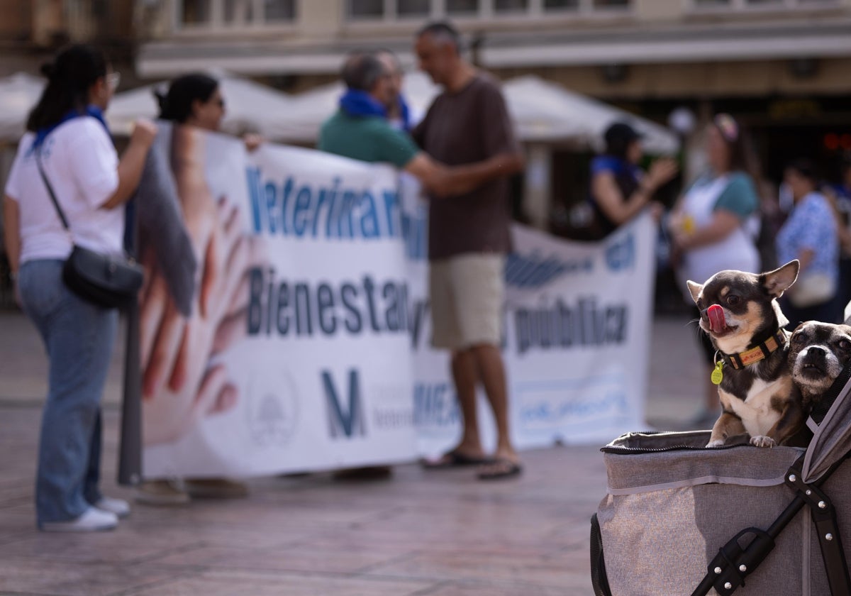 Veterinarios y dueños de mascotas recorren el Centro de Málaga en protesta contra la ley del medicamento